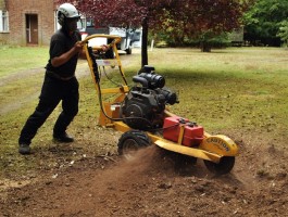 Nichols and Sons Tree Surgeons