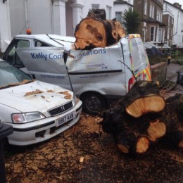 Clearing up fallen trees from a storm