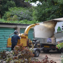 Tree Pruning Sutton