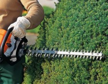 Hedge trimming Hooley