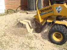 Stump Grinding Hooley